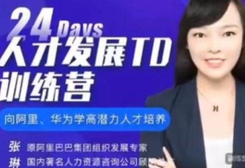 张琳《24天人才发展TD训练营》培养高潜力人才